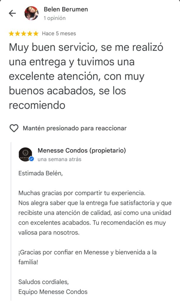 Reviews Menesse Condos - Google (15)