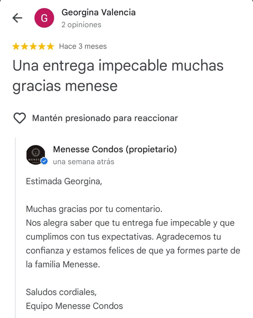 Reviews Menesse Condos - Google (30)