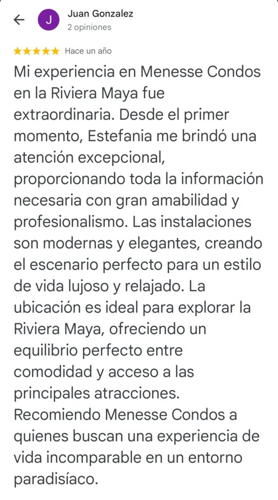 Reviews Menesse Condos - Google (5)
